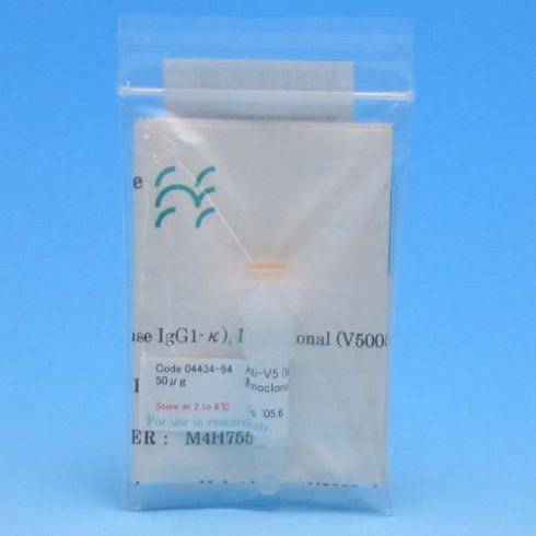 Anti-V5小鼠单克隆抗体