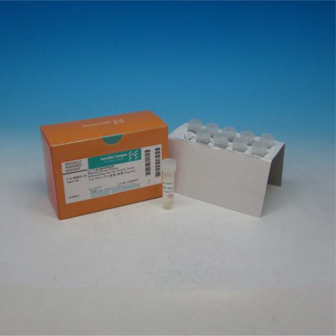 Albumin, Bovine, Solution(2mg/ml) for Protein Assay