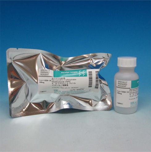 4',6-二脒基-2-苯基吲哚二盐酸盐