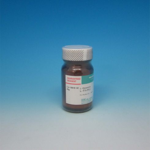 L-谷氨酰胺