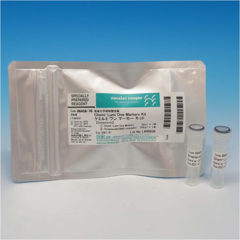 WesternBlotting发光检测底物试剂盒