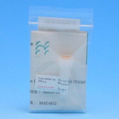 Anti-V5小鼠单克隆抗体