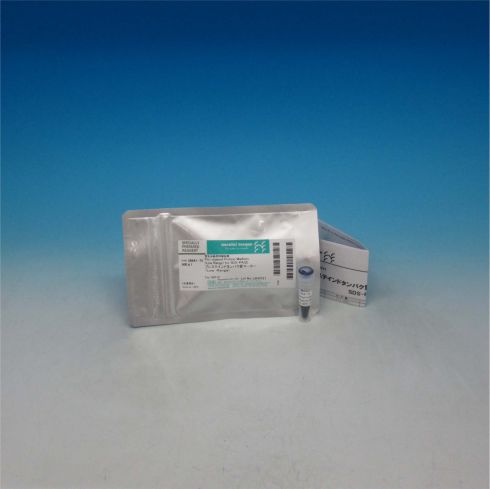 SDS-PAGE预染蛋白Markers(窄范围)