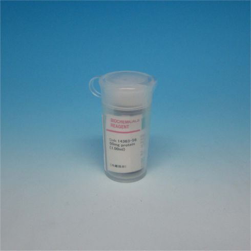 猪胰腺弹性蛋白酶