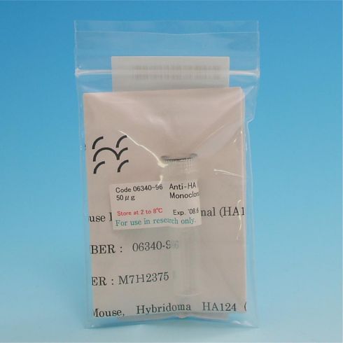 Anti-HA小鼠单克隆抗体