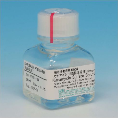 硫酸卡那霉素溶液（50mg/ml）