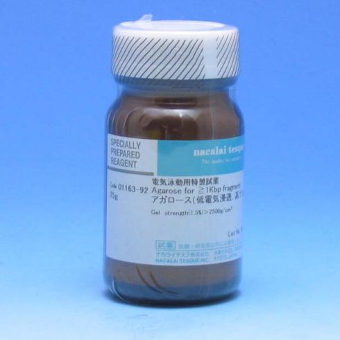 琼脂糖