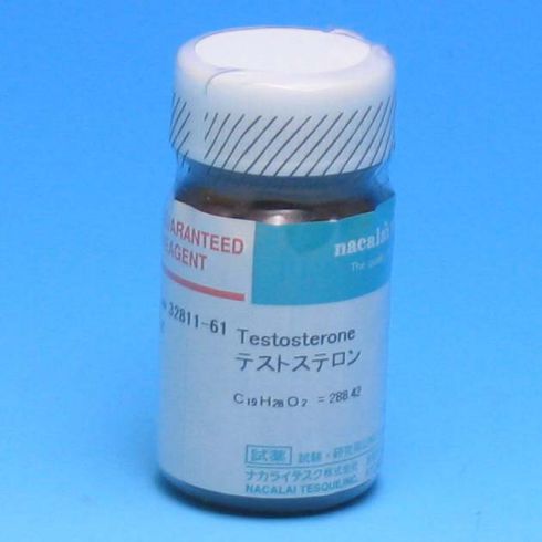 Testosterone