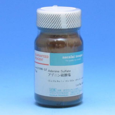 硫酸腺嘌呤