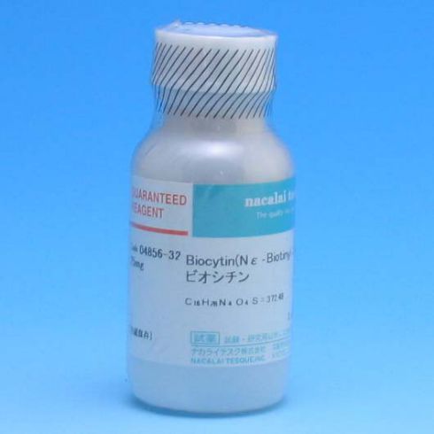 Biocytin 〔Nε-Biotinyl-L-lysine〕