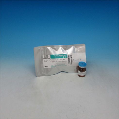 Albumin, Bovine, Acetylated, Nuclease and Protease tested