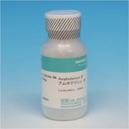 Amphotericin B